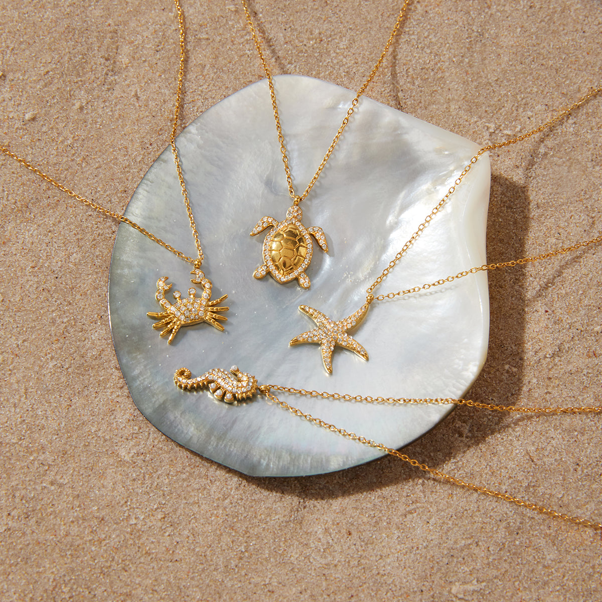 Tiny Turtles and many more
